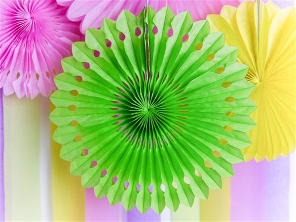 Grote foto decorative rosettes apple green 20 30cm verzamelen overige verzamelingen