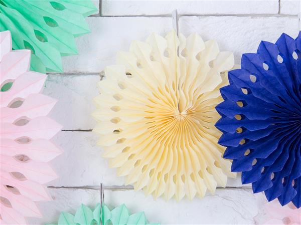 Grote foto decorative rosettes light cream 20 30cm verzamelen overige verzamelingen