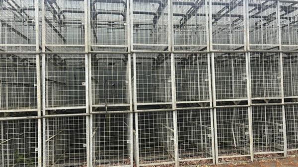 Grote foto 220 stuk preirekken preiboxen agrarisch oogstmachines