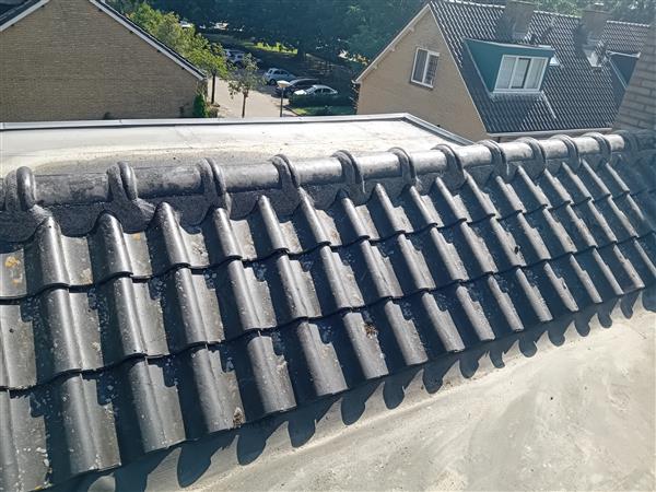 Grote foto nokvorst reparatie nu 69 00 euro per meter incl diensten en vakmensen dakdekkers en rietdekkers