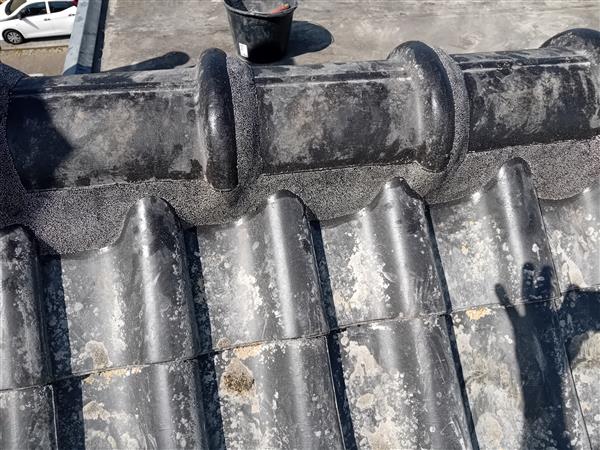 Grote foto nokvorst reparatie nu 69 00 euro per meter incl diensten en vakmensen dakdekkers en rietdekkers
