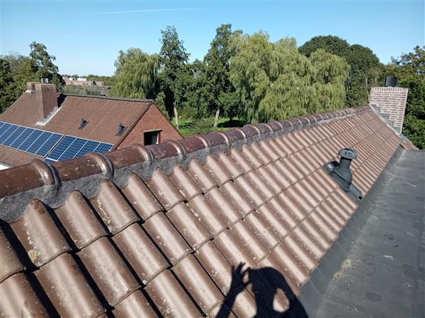 Grote foto nokvorst reparatie nu 69 00 euro per meter incl diensten en vakmensen dakdekkers en rietdekkers