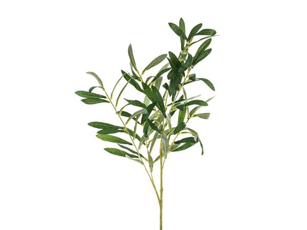 Grote foto olive branch 91 cm verzamelen overige verzamelingen