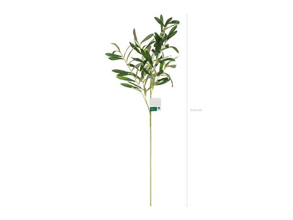 Grote foto olive branch 91 cm verzamelen overige verzamelingen