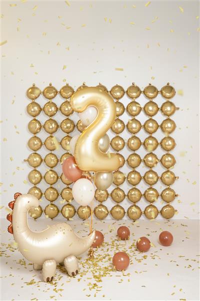 Grote foto foil balloon backdrop double sided round gold silver 78x107 cm verzamelen overige verzamelingen