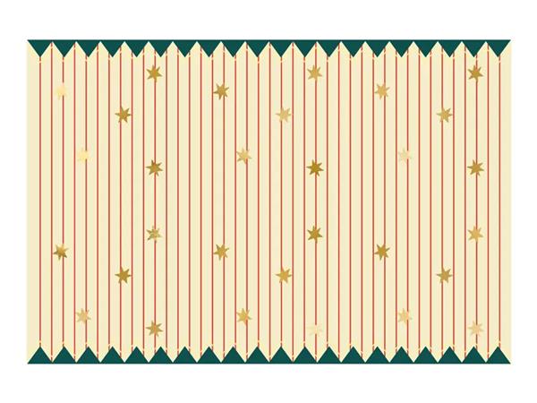 Grote foto paper tablecloth thin stripes and stars mix 180 x 120 cm verzamelen overige verzamelingen