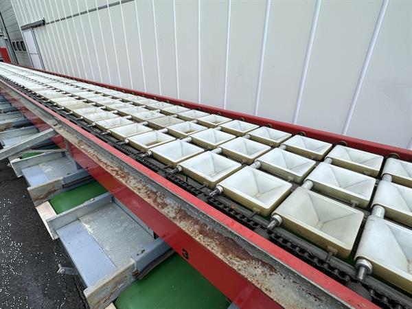 Grote foto aweta kg3 16 1 tomatensorteermachine agrarisch tuinbouw