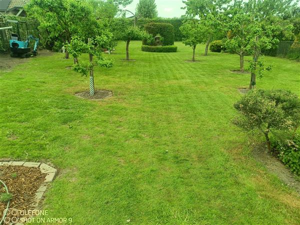 Grote foto robot grasmaaier zonder grensdraad tuin en terras tuingereedschap