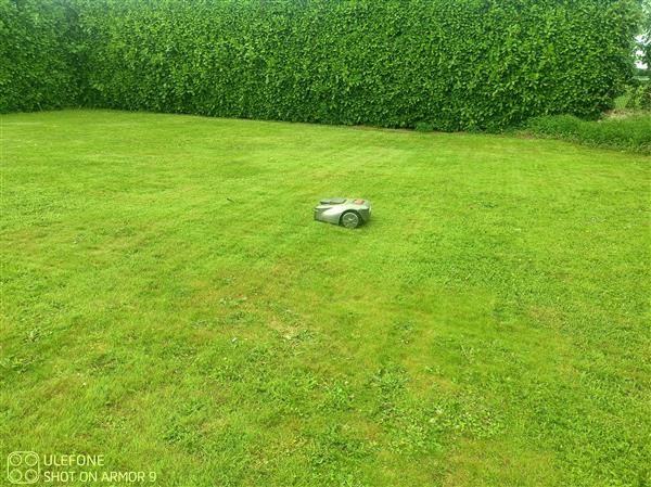 Grote foto robot grasmaaier zonder grensdraad tuin en terras tuingereedschap