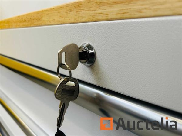 Grote foto stahltech 387 delig gereedschapswagen doe het zelf en verbouw overige doe het zelf en verbouw