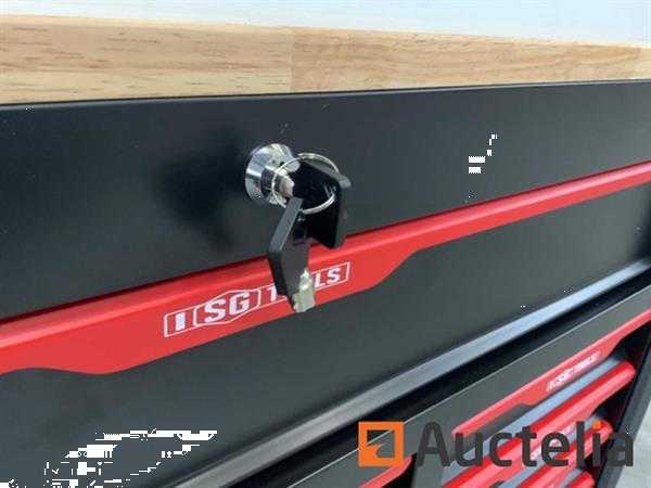 Grote foto gereedschapswagen sg tools 311 delig doe het zelf en verbouw overige doe het zelf en verbouw