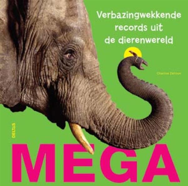 Grote foto mega boeken woordenboeken