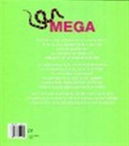 Grote foto mega boeken woordenboeken