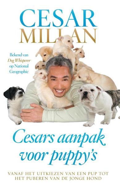 Grote foto cesars aanpak voor puppy boeken hobby en vrije tijd