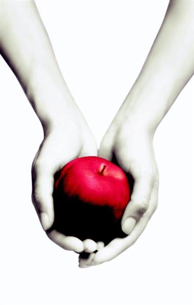 Grote foto twilight twilight 1 boeken jeugd 13 jaar en ouder