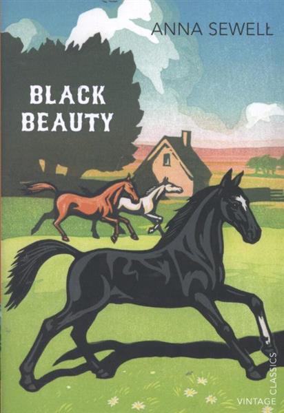 Grote foto black beauty boeken overige boeken