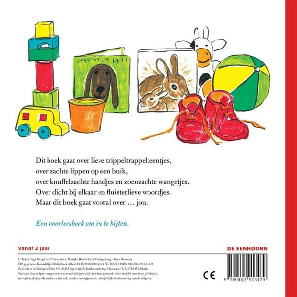 Grote foto dit boek gaat over jou boeken jeugd 13 jaar en ouder