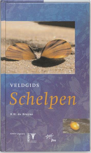 Grote foto veldgids schelpen veldgids 14 boeken hobby en vrije tijd