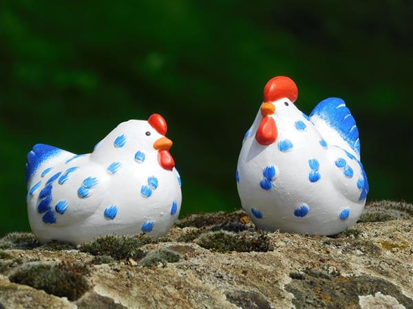 Grote foto haan en kip handbeschilderd keramiek tuin en terras tuindecoratie