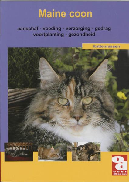 Grote foto maine coon over dieren 177 boeken hobby en vrije tijd
