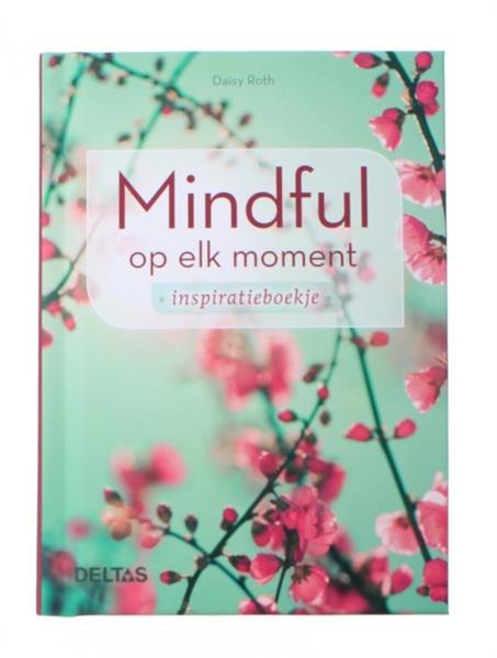 Grote foto mindful op elk moment daisy roth boeken overige boeken