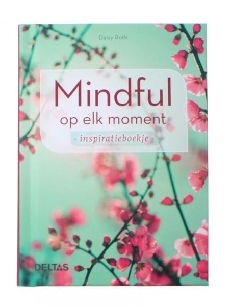 Grote foto mindful op elk moment daisy roth boeken overige boeken