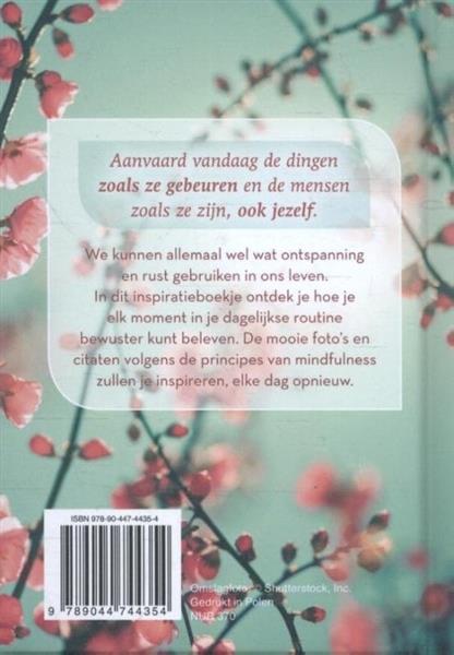 Grote foto mindful op elk moment daisy roth boeken overige boeken