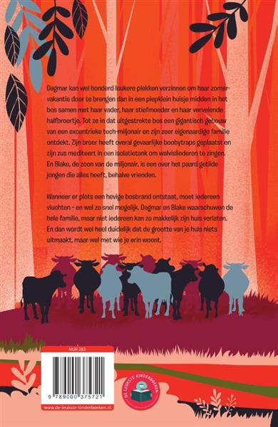 Grote foto het vuurhuisje boeken jeugd 13 jaar en ouder