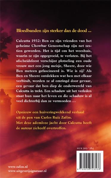 Grote foto het middernachtspaleis boeken jeugd 13 jaar en ouder