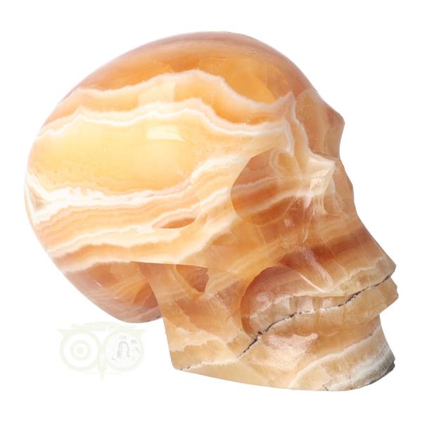 Grote foto oranje calciet schedel 1043 gram verzamelen overige verzamelingen