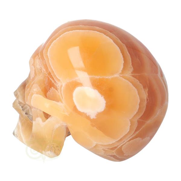 Grote foto oranje calciet schedel 1043 gram verzamelen overige verzamelingen