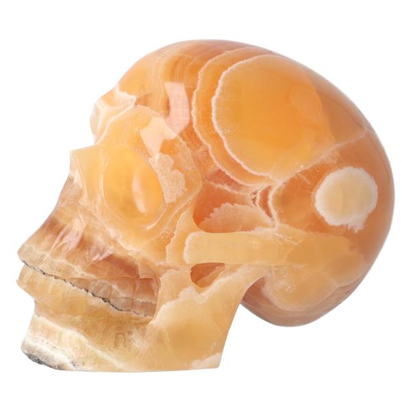 Grote foto oranje calciet schedel 1043 gram verzamelen overige verzamelingen