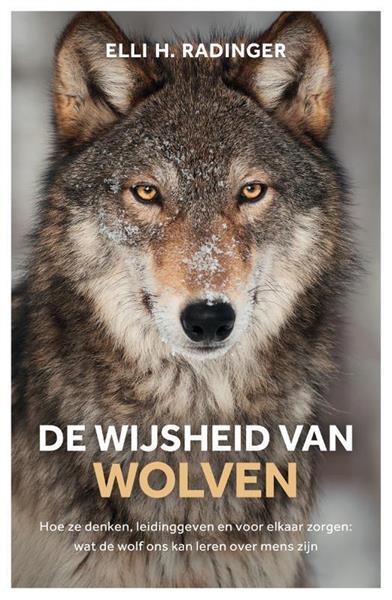 Grote foto de wijsheid van wolven boeken hobby en vrije tijd