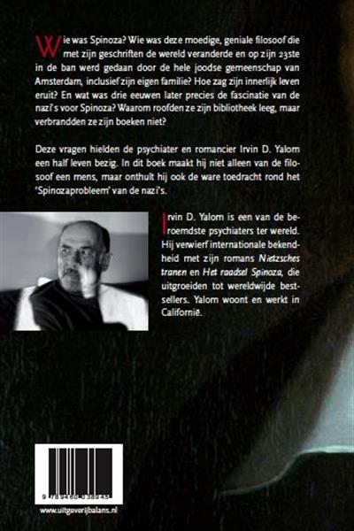 Grote foto het raadsel spinoza boeken overige boeken