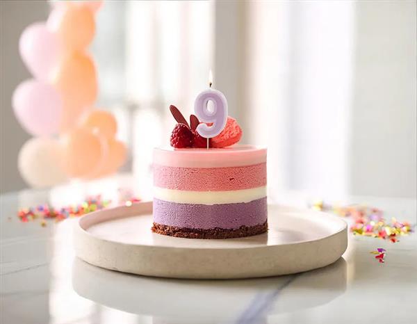 Grote foto birthday candle number 9 violet 6 cm verzamelen overige verzamelingen