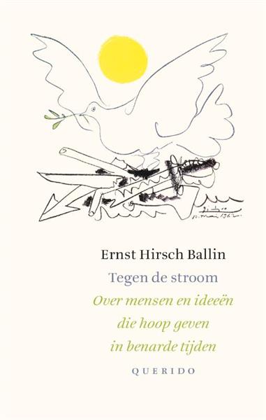 Grote foto tegen de stroom boeken literatuur