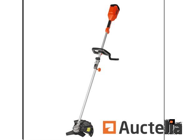 Grote foto accu bosmaaier 21 volt agrarisch algemeen