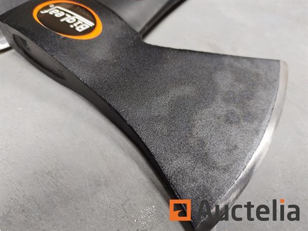 Grote foto big leaf 2x bijlenset agrarisch algemeen