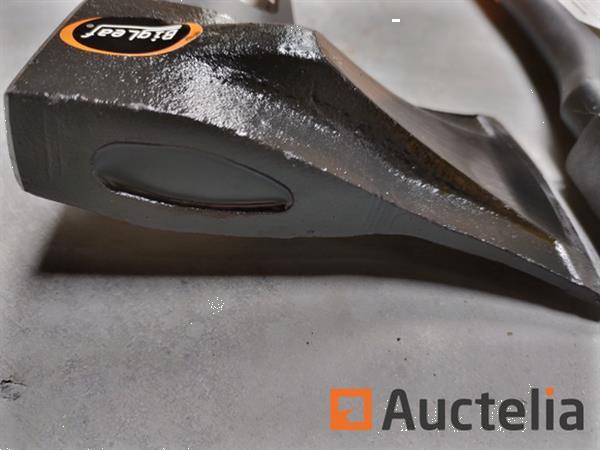 Grote foto big leaf 2x bijlenset agrarisch algemeen
