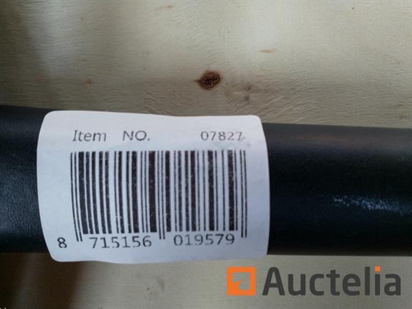 Grote foto big leaf 2x bankhamer agrarisch algemeen