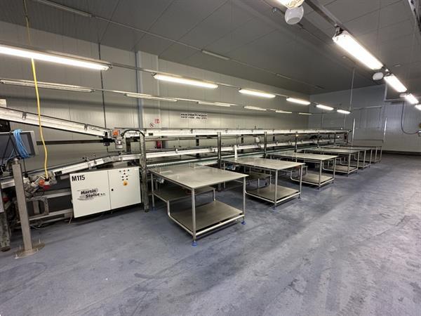 Grote foto martin stolze combi conveyor productie en inpaklijn met 11 marco werktafels met weegschaal agrarisch tuinbouw