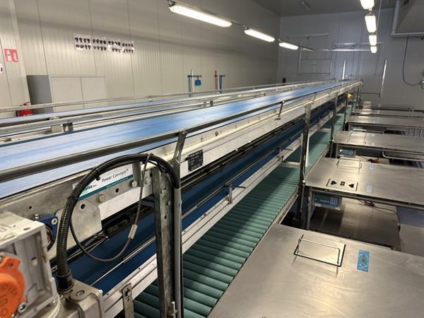 Grote foto martin stolze combi conveyor productie en inpaklijn met 11 marco werktafels met weegschaal agrarisch tuinbouw