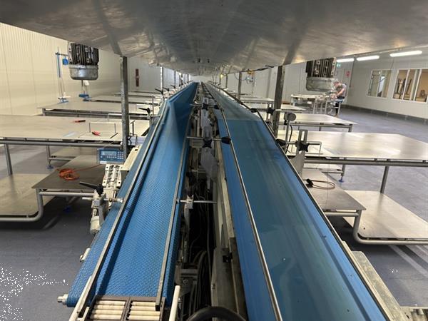 Grote foto martin stolze combi conveyor productie en inpaklijn met 11 marco werktafels met weegschaal agrarisch tuinbouw