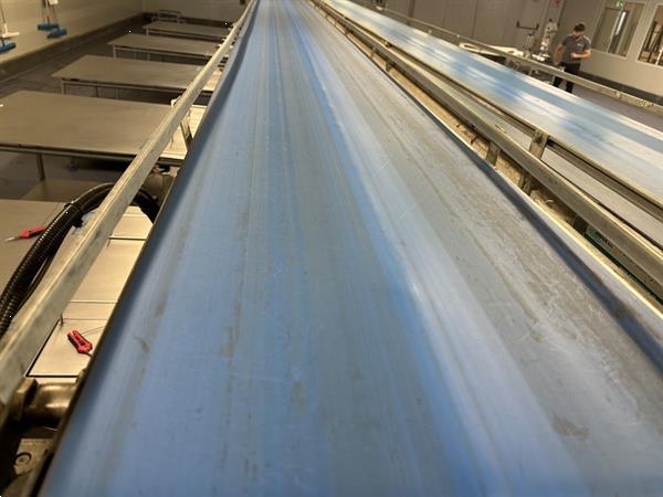 Grote foto martin stolze combi conveyor productie en inpaklijn met 11 marco werktafels met weegschaal agrarisch tuinbouw