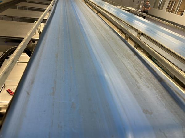 Grote foto martin stolze combi conveyor productie en inpaklijn met 11 marco werktafels met weegschaal agrarisch tuinbouw