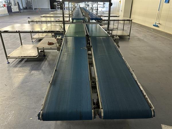 Grote foto martin stolze combi conveyor productie en inpaklijn met 11 marco werktafels met weegschaal agrarisch tuinbouw