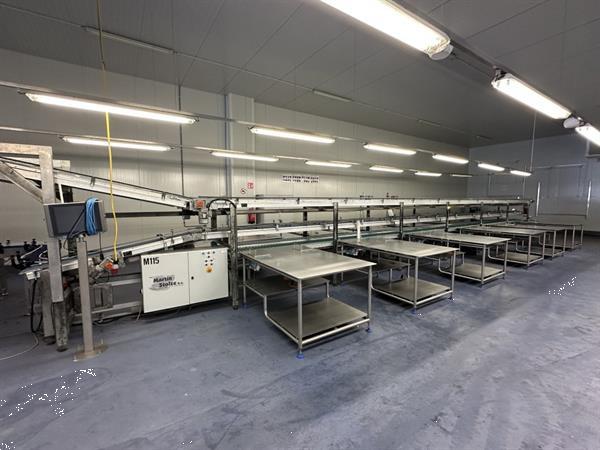 Grote foto martin stolze combi conveyor productie en inpaklijn met 11 marco werktafels met weegschaal agrarisch tuinbouw