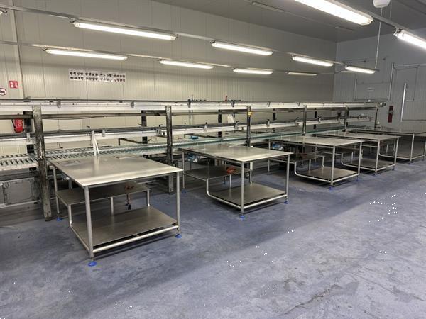 Grote foto martin stolze combi conveyor productie en inpaklijn met 11 marco werktafels met weegschaal agrarisch tuinbouw