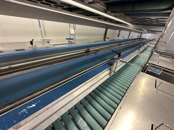 Grote foto martin stolze combi conveyor productie en inpaklijn met 11 marco werktafels met weegschaal agrarisch tuinbouw