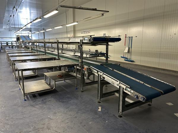 Grote foto martin stolze combi conveyor productie en inpaklijn met 11 marco werktafels met weegschaal agrarisch tuinbouw